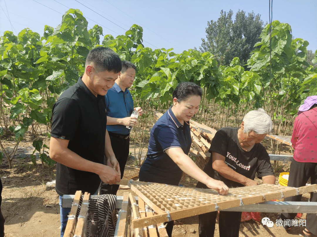 睢阳区最新人事任免动态