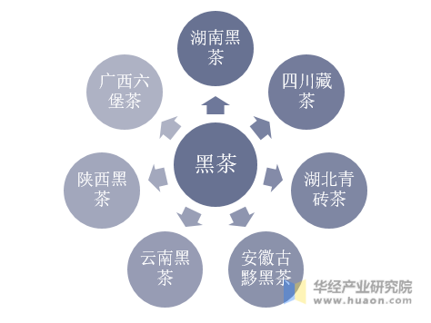 黑茶最新新闻，产业动态与市场趋势分析