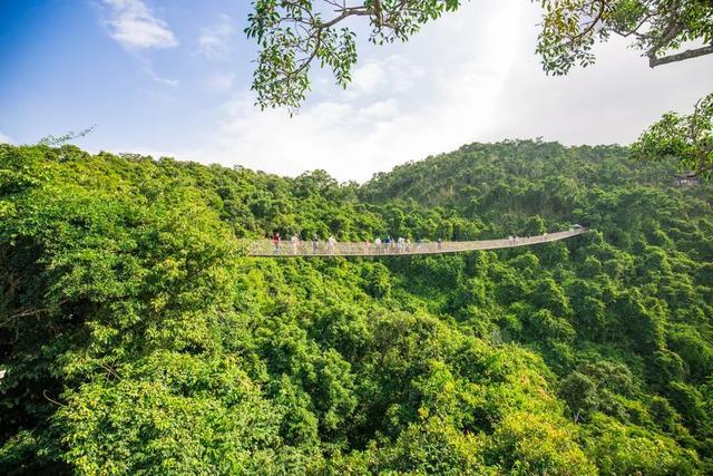 海南旅游公路最新消息，迈向世界级旅游目的地的步伐加速