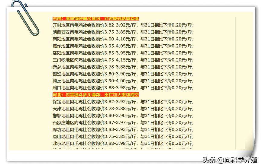 今日山东肉毛鸡最新价格分析