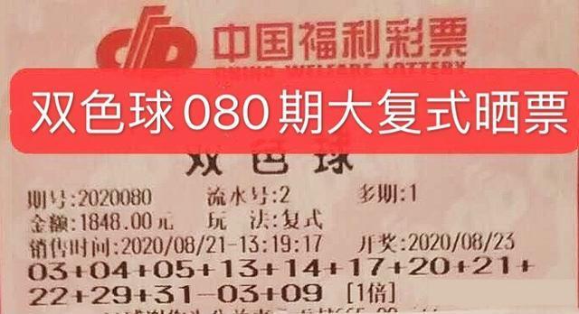 关于6连号100元最新价格的探讨