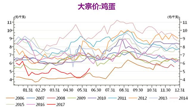 黑龙江最新鸡蛋价格动态分析