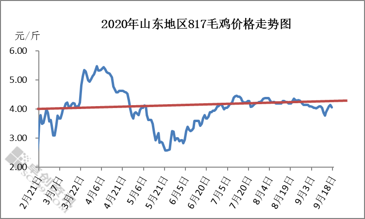 最新毛鸡价格行情走势分析