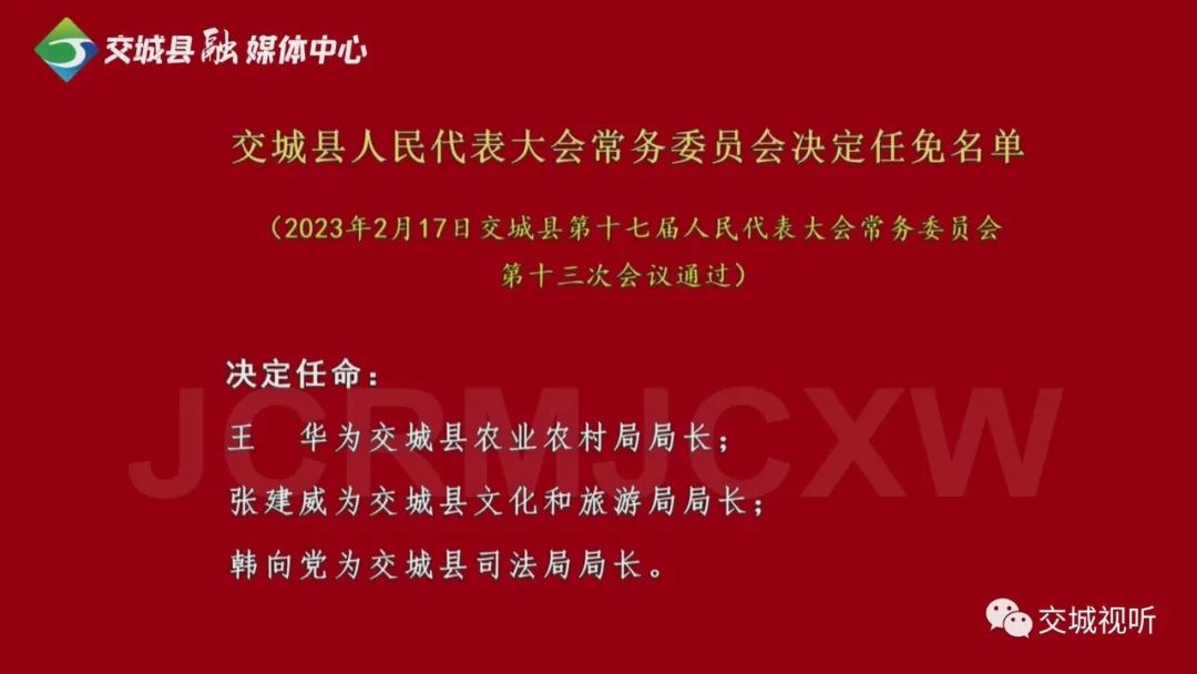 市交委最新任命，推动城市交通迈向新篇章